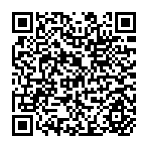 QR Code for 1985 Training for Agriculture and Rural Development