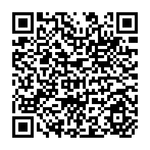QR Code for Directions of agrarian reform in agribusiness plantation