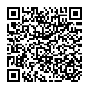 QR Code for The World Livestock Product, Feedstuff, and Food Grain System