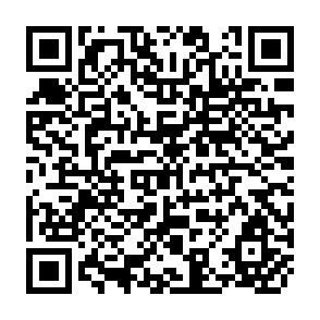 QR Code for Adjustment Policies in Developing Countries, 1979-83 An Update
