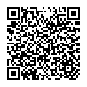 QR Code for The teaching of user studies as a subject for the preparation of librarians, documentalists, archivists and other information specialists