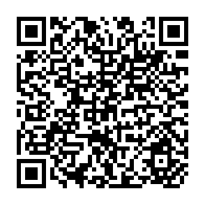 QR Code for Lectures on Agricultural Planning Delivered at The FAO Nera East Regional Training Center on Agricultural Development Planning