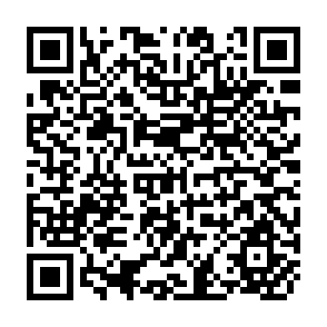 QR Code for Partners in Development