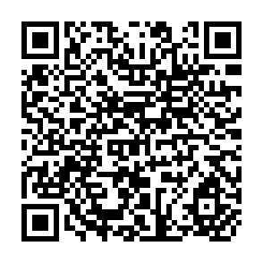 QR Code for Report on Research and Development 1985/86