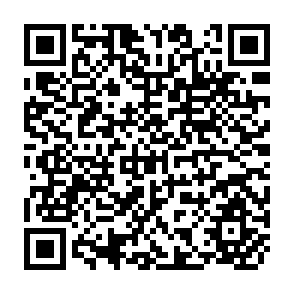 QR Code for Productivity Measurement And Analysis: Asian Agriculture