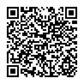 QR Code for Fertiliser Use in India: The Next Stage in Policy