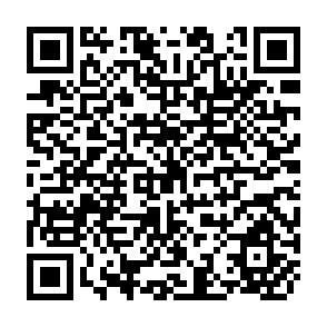 QR Code for Structure and Dynamics of Fertilizer Subsidy: The Case of Bangladesh