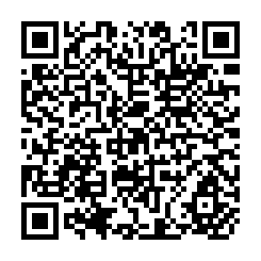 QR Code for Lobaour Inspection in Agriculture in Southeast Asia