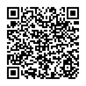 QR Code for Proceedings of the International Agricultural Machinery Workshop