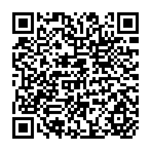 QR Code for The Literature of Agricultural Planning