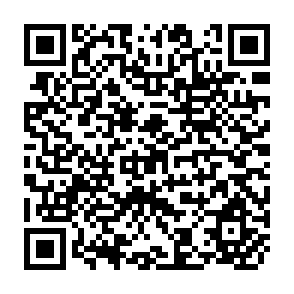QR Code for Current Issues in Development Theory