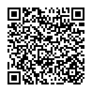QR Code for Source-Sink Relationships in Crop Plants