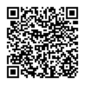 QR Code for The Effectiveness of Language: A Study of two Rice Extension Publications in English and Cebuano among English-Speaking Change Agents in the Philippines