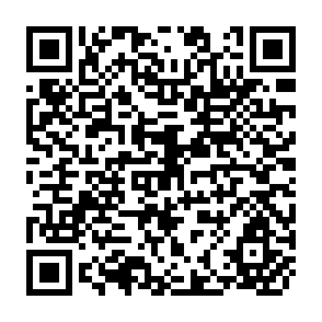 QR Code for Structural Adjustment: By Whom for Whom
