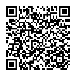 QR Code for The Impacts of the International Polotical Economy on national Biotechnology program
