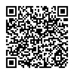 QR Code for International Consultation on Strengthening national agriculture research systems