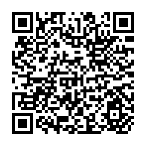 QR Code for Agroforestay research in farming systems perspective: the ICRAF approach