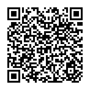 QR Code for Biotechnology: Prospects and Dilemmas for Third World Development