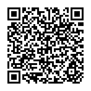 QR Code for World Development Report 1983
