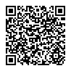 QR Code for Principal Aspects of Agricultural Planning in Israel