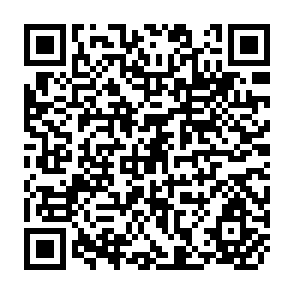 QR Code for Monitoring and Evaluation of Participatory Forestry Projects