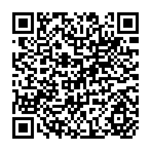 QR Code for Monitoring and Evaluation of Participatory Forestry Projects