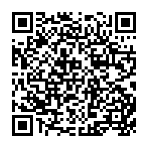 QR Code for Forests, Trees and People