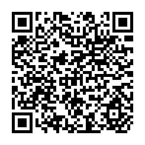 QR Code for Community Forestry Handbook