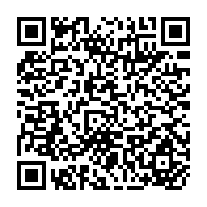 QR Code for The Use of Wood as an Energy Source in the Rural Clay Brick-and Rooftile Industry in Indonesia