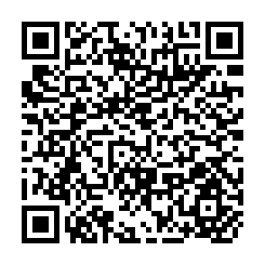 QR Code for The Use of Wood by the Tobacco Industry and the Ecological Implications