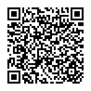 QR Code for Wood-Based Energy System for Rural Industries and Village Activities: A Case Study in Thailand