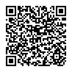 QR Code for Karl Marx Theories of Surplus-Value ( Part iii)