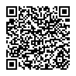 QR Code for Production Incentives in Philippine Agriculture : Effects of Trade and Exchange Trade Policies