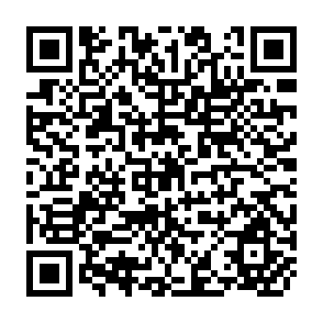 QR Code for Karl Marx Capital