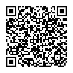 QR Code for Moey and Capital Market: The Financial System in the Economy
