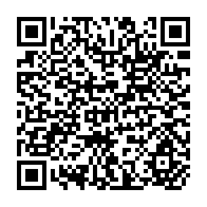 QR Code for The Costs of Economic Growth