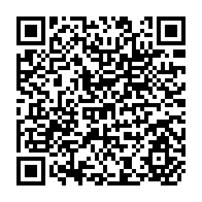 QR Code for The Wage Employment Market for Rural Women in Bangladesh