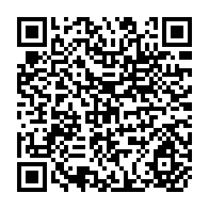 QR Code for Employment Creation in Rural Bangladesh - Policies and Programmes