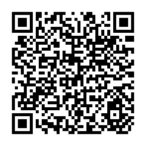 QR Code for Tropical Root Crops