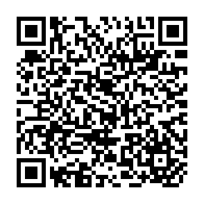 QR Code for Population policy and individual choice: A theoretical investigation