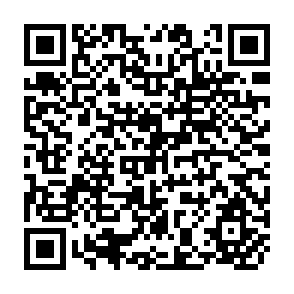 QR Code for Export Subsidies and Minimum Access Guarantees in Agricultural Trade: A Developing Country Perspective