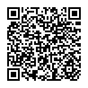 QR Code for A Structural View of Policy Issues in African Agricultural Development: Reply