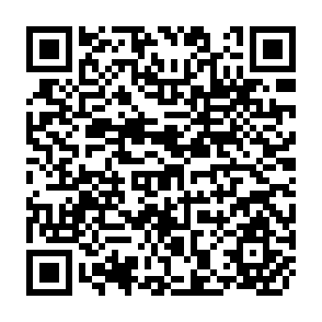 QR Code for Household Energy in South Asia