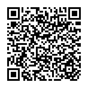 QR Code for The Role of the Judiciary in Plural Societies