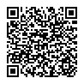 QR Code for Sarec's First Decade