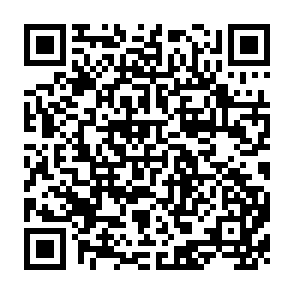 QR Code for The Roal Of Financial Institutions In Rural Development: The Thai Experience