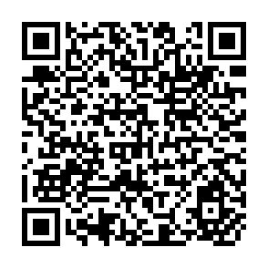 QR Code for Rural Poverty Alleviation: Issues and Strategies from an Asian NGO Perspective