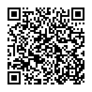 QR Code for Report on Evaluation of CIRDAP Networks' Documentation and Information Systems