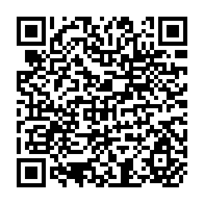 QR Code for The Training and Visit Extension System: An Analysis of Operations and Effects