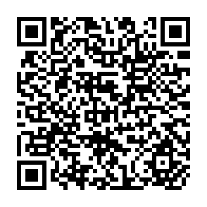 QR Code for Report on Impact Evaluation of Completed Cirdap Projects